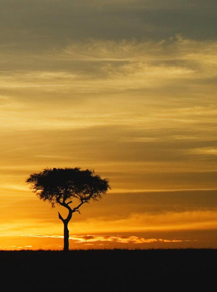 Photograph by Ages ragil