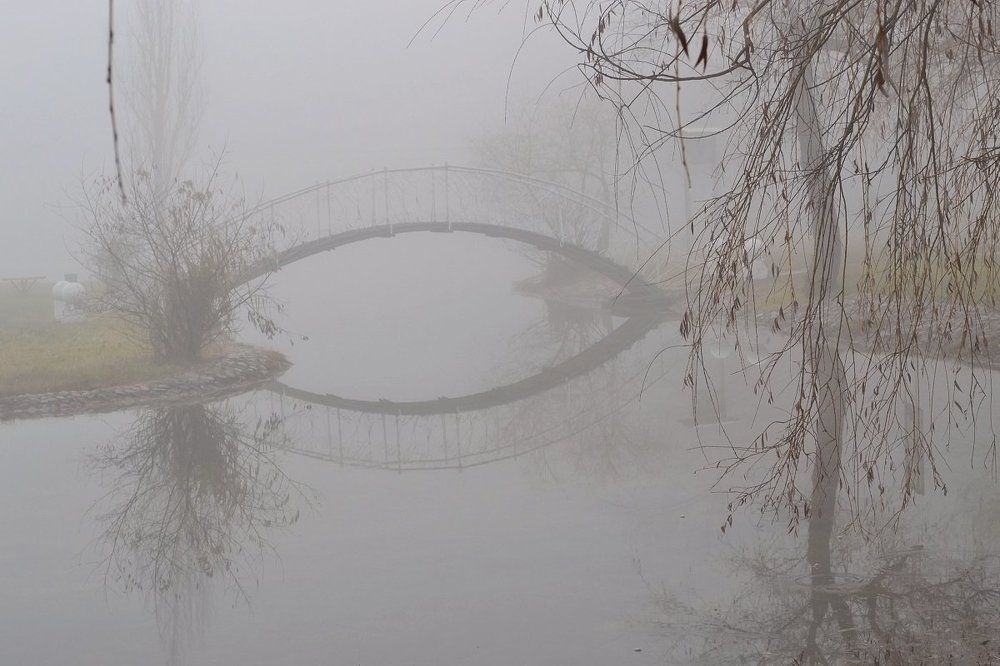 Утро туманное