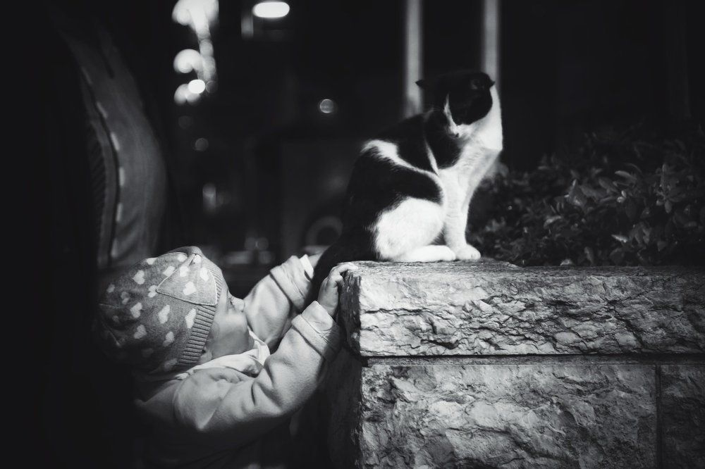 Привет, друг.