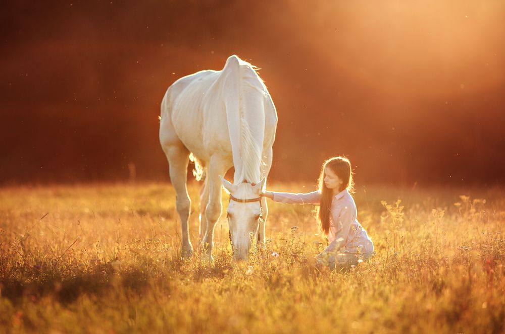 Лучший друг