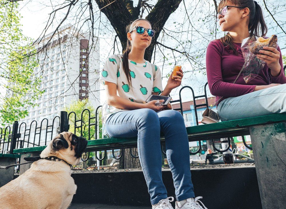 Очень...очень голодный мопс.