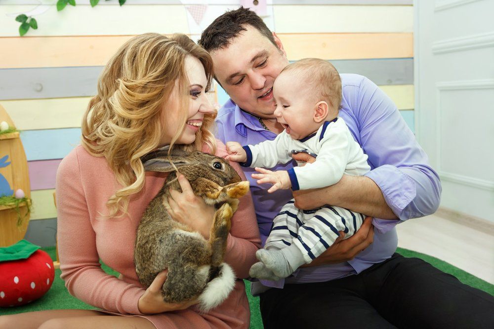 Первая встреча