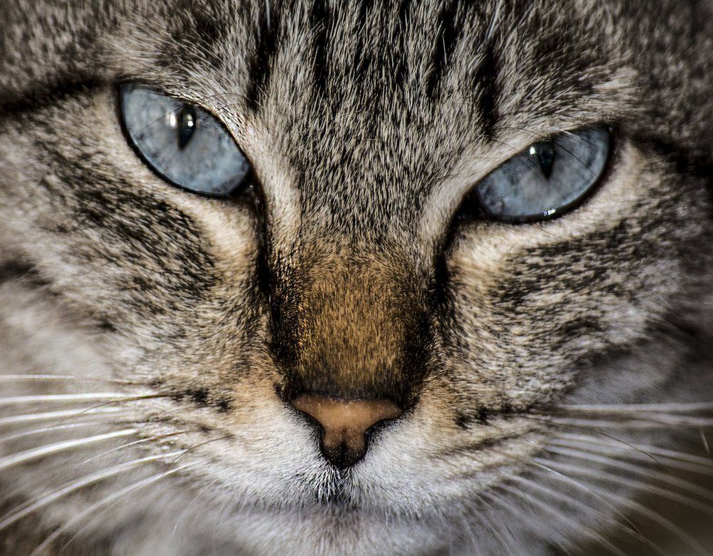 Photograph by владимир