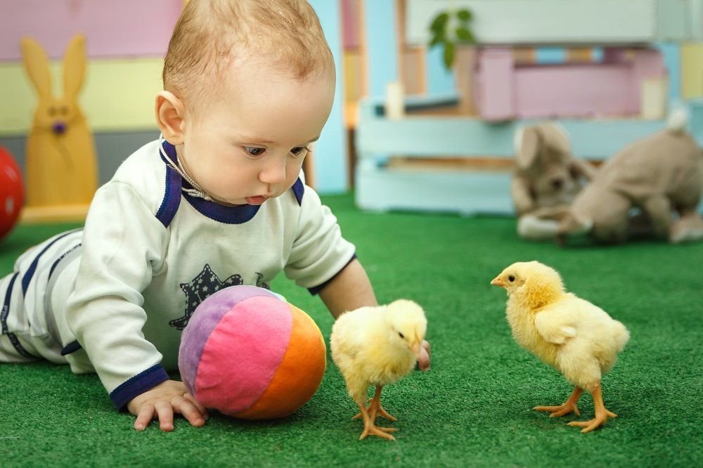 А это кто такие?