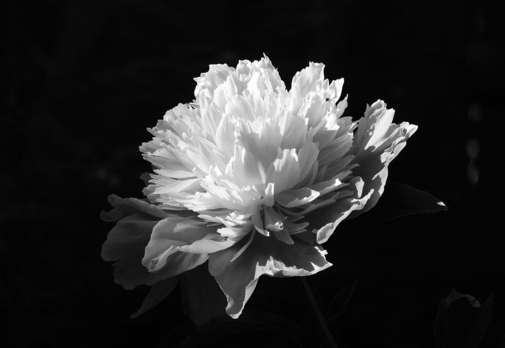 Photograph by Татьяна