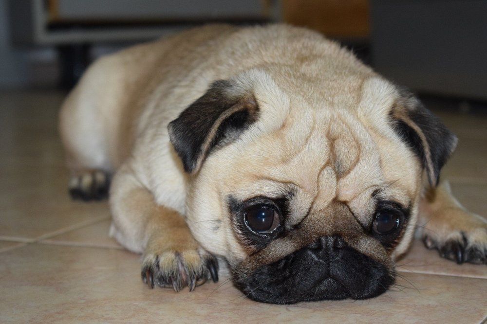 Photograph by Юрий