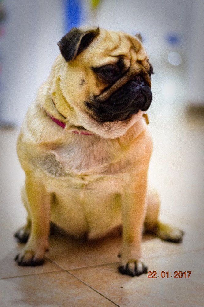 Photograph by Юрий