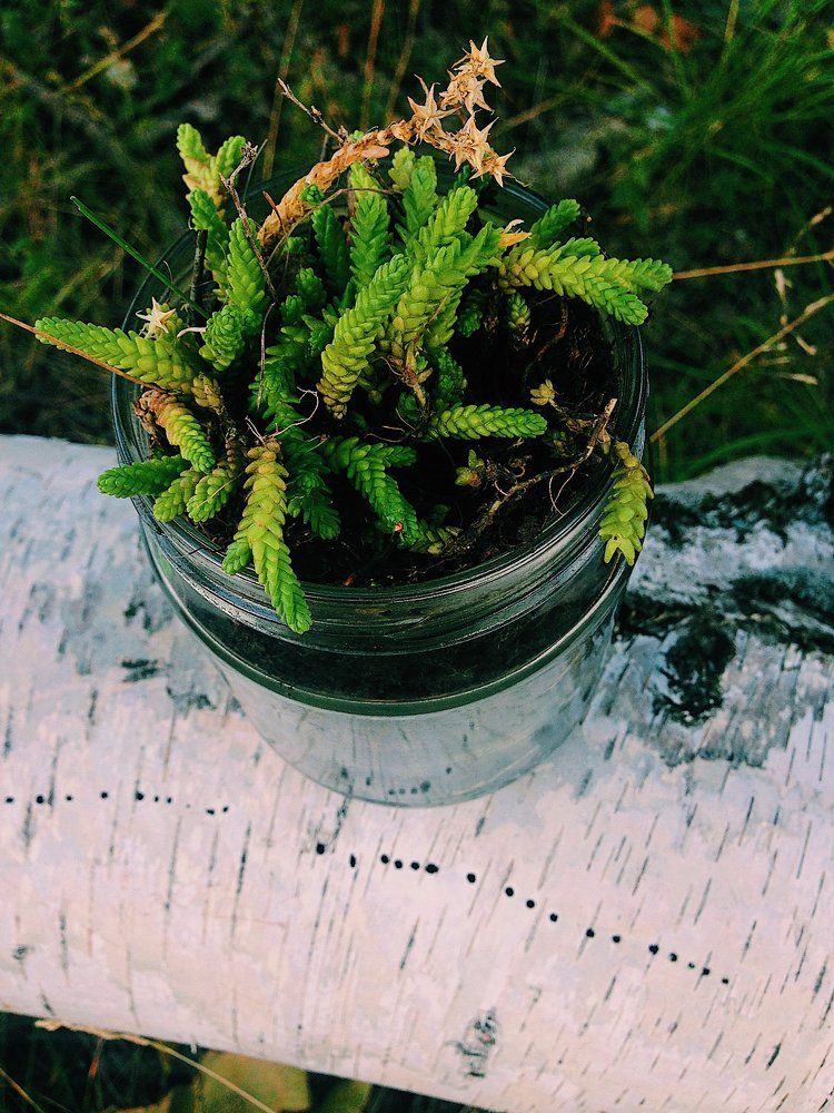 Photograph by Анастасия Козлова