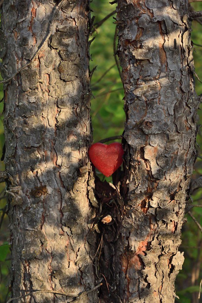 Любовь навсегда!