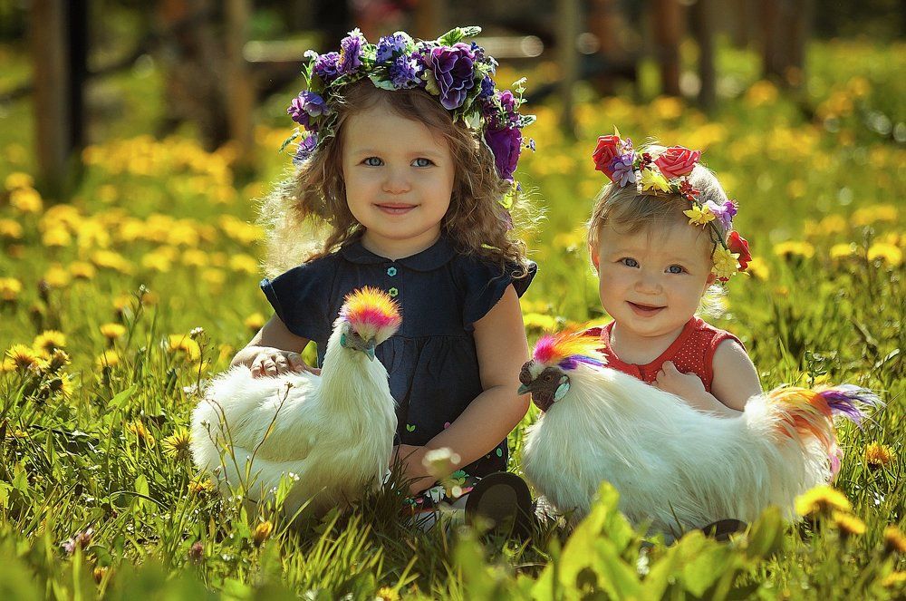 Сестрички с курочками