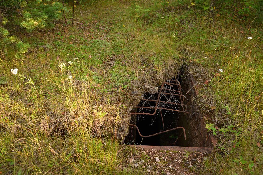 Время лечит