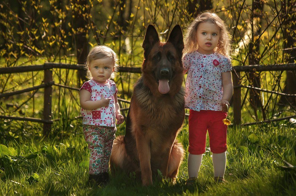 Собака - лучший друг человека