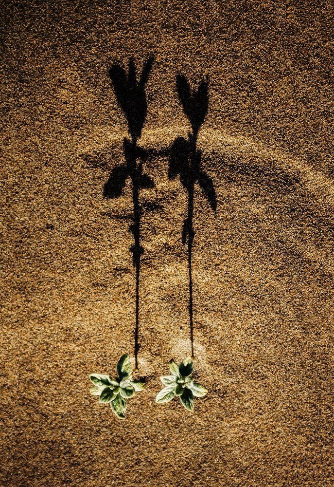 Двое среди песков