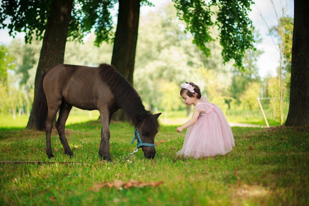 Photograph by Анастасия