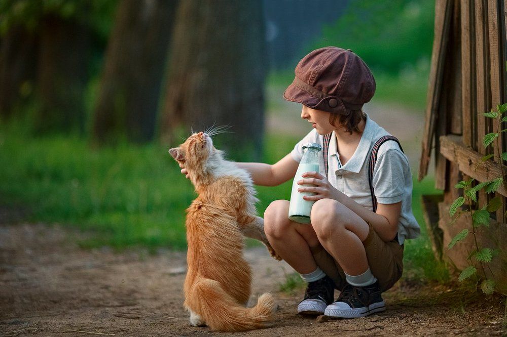 Когда хочется молочка