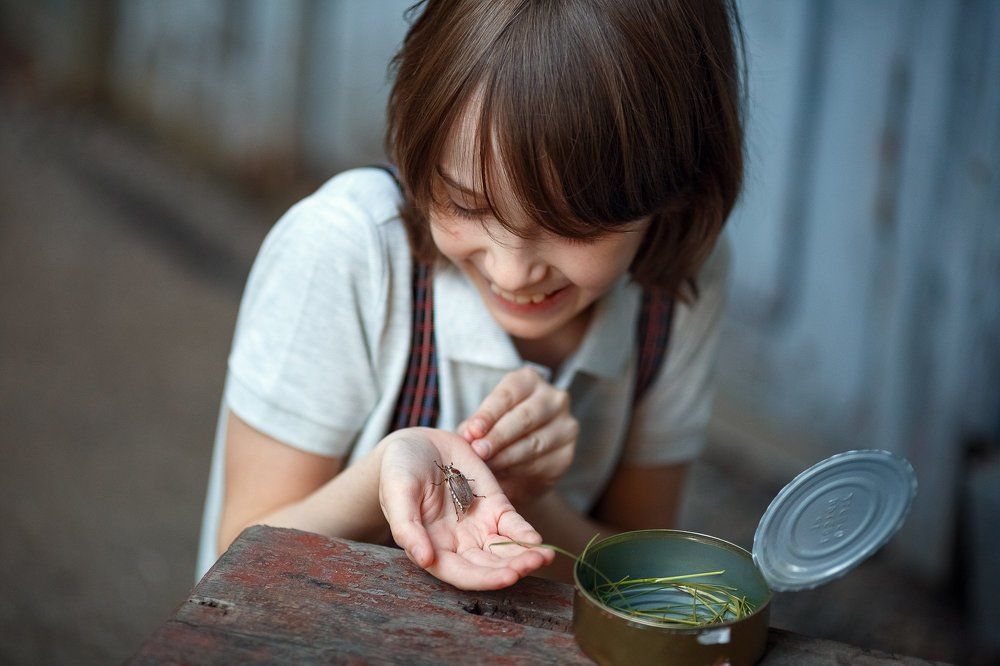 Майский жук