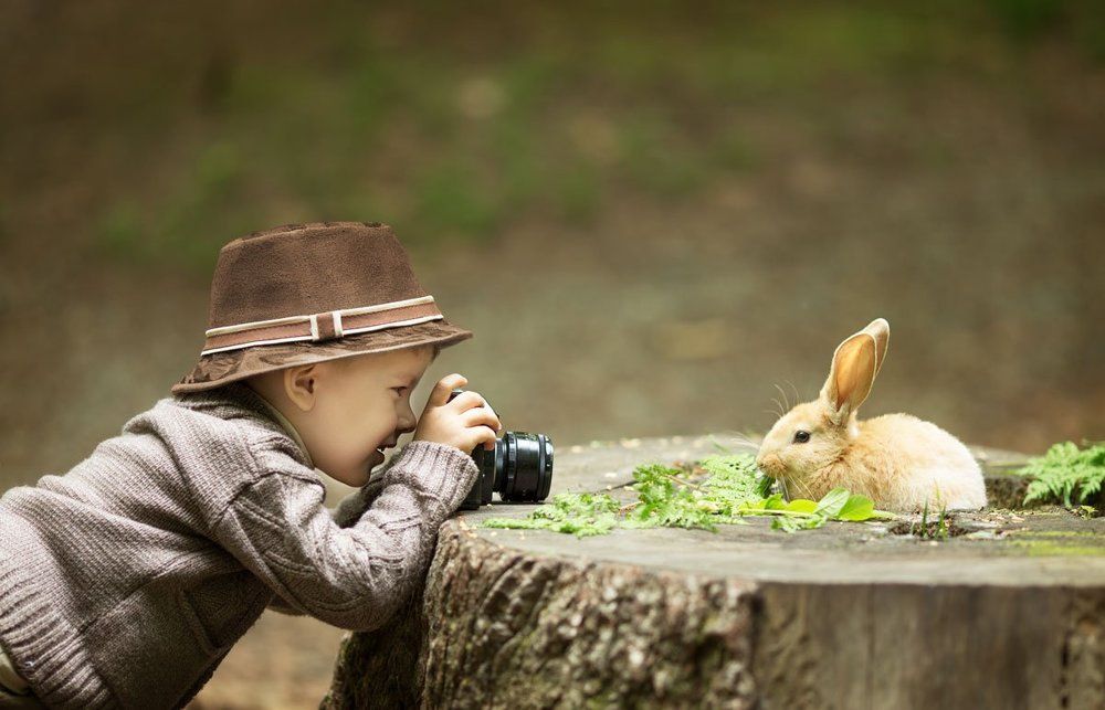 Маленький фотограф