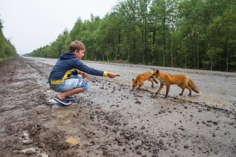 встреча на дороге