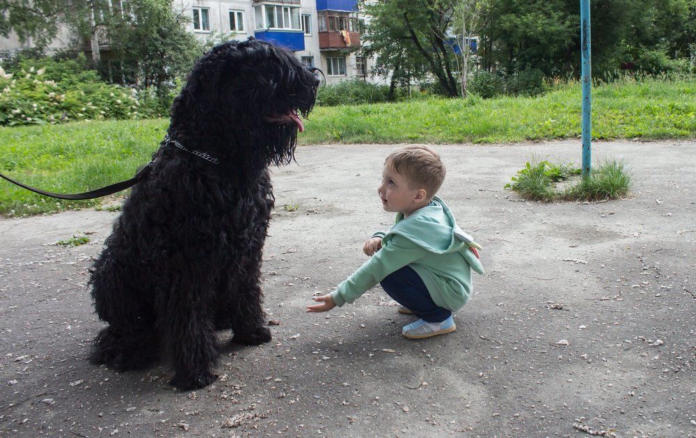 Дай лапу, друг!