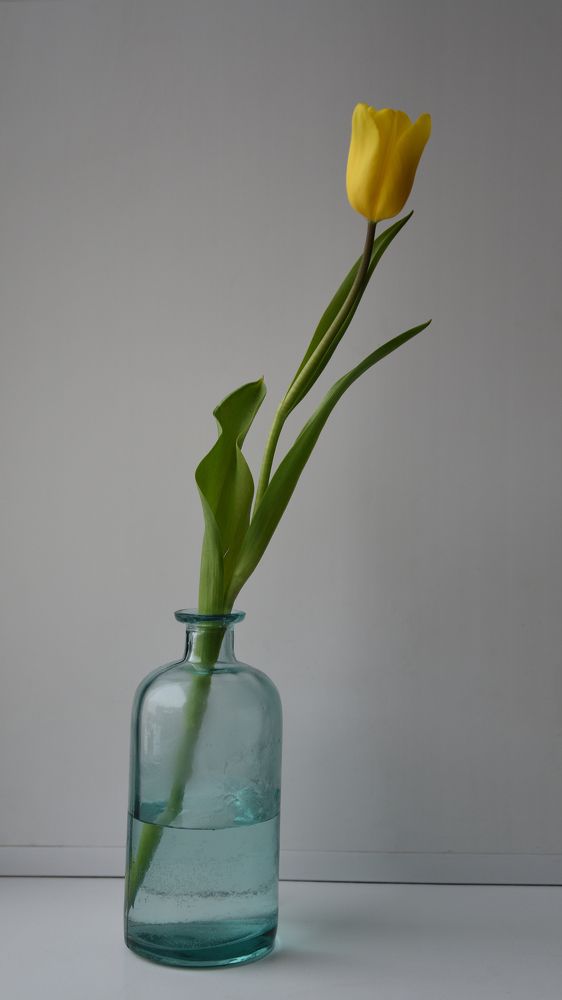 красота в простоте