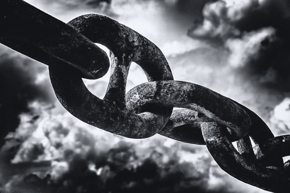 на свободу нет надежд