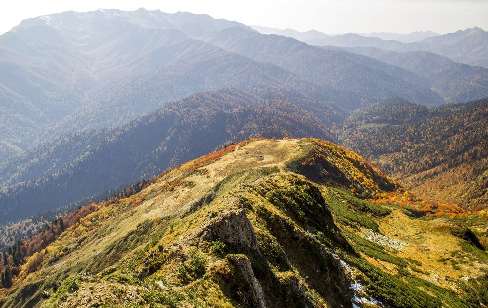 У подножия Чугуша, высота 2600 метров