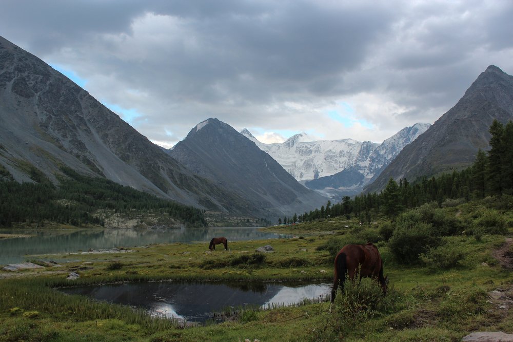 Photograph by Мария Басарева