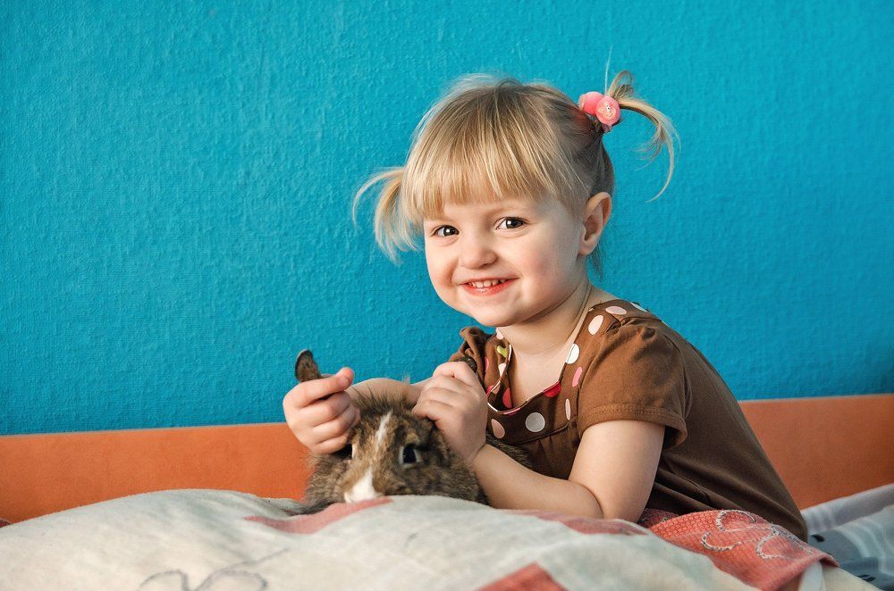 пушистый друг