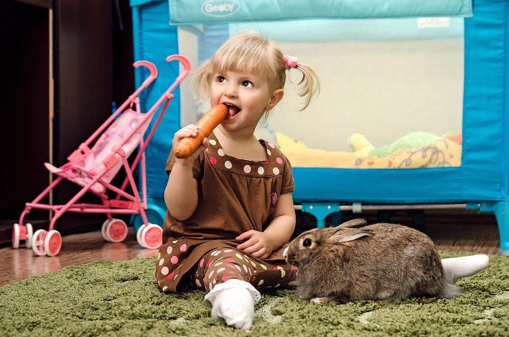 пушистый друг