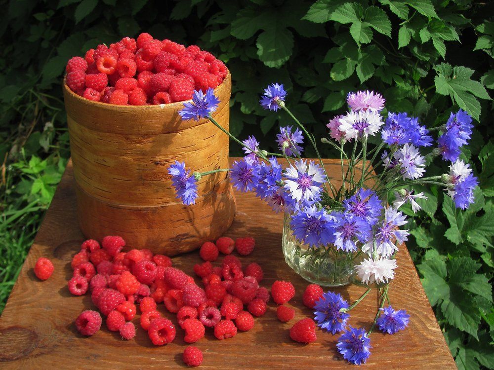 Сладкое лето