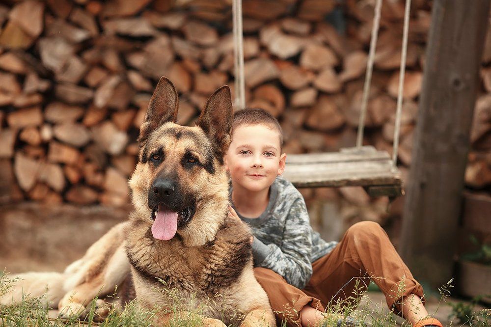 Лучшие друзья