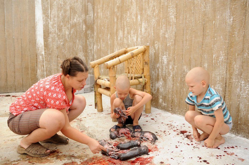 Нерожденные поросята