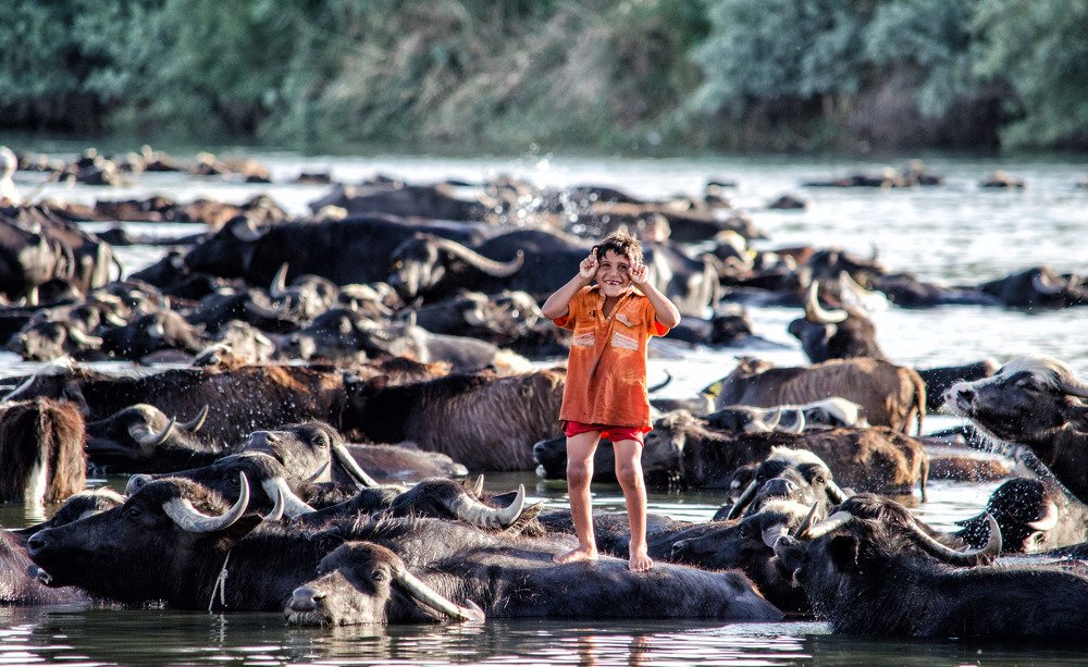 Photograph by Ali Ali Sabih Kadhim