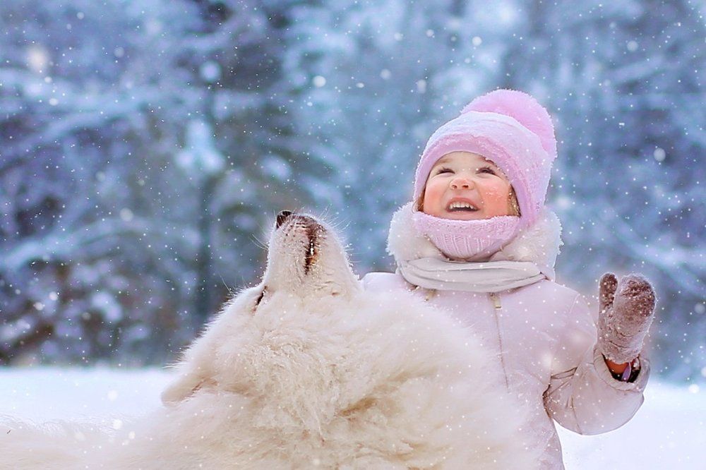 первый снегопад