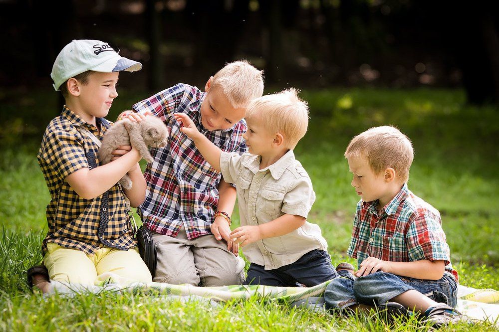 Детская радость