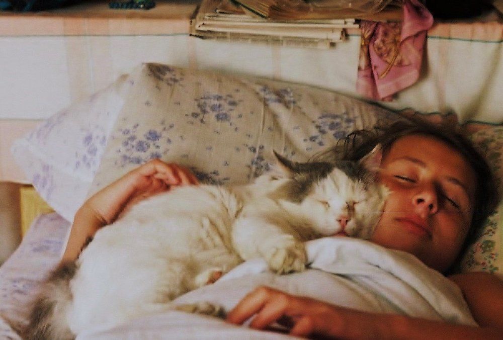 Сладкий сон.