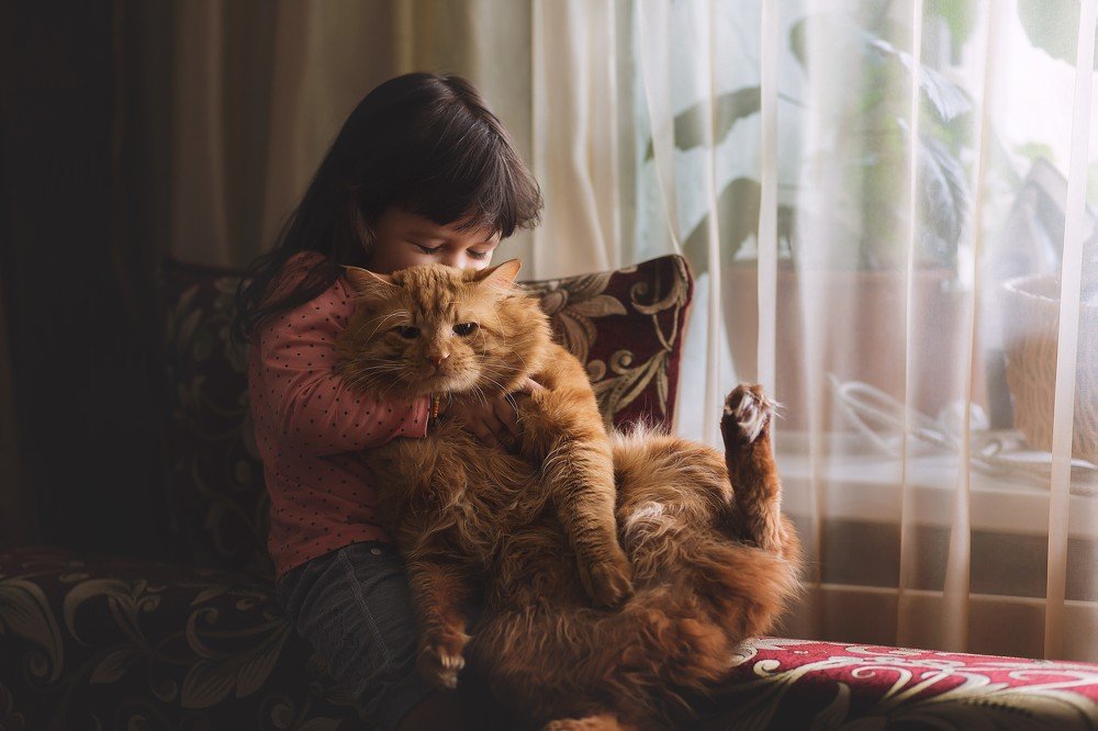 Photograph by Алена Пайвина