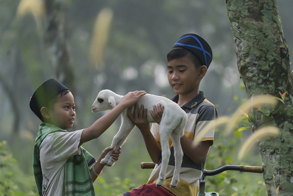 Happiness without gadget