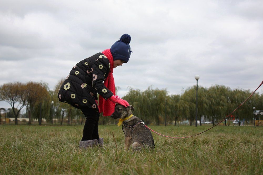 Будь моим другом