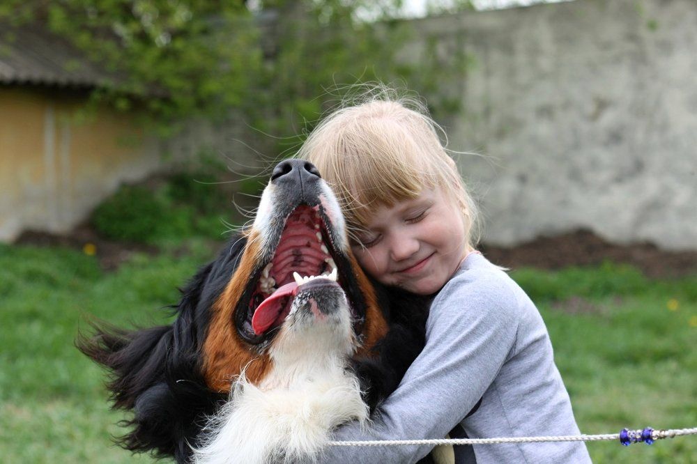 Самый лучший друг