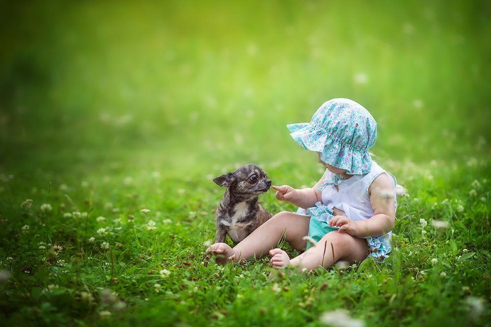 Маленькие нежности