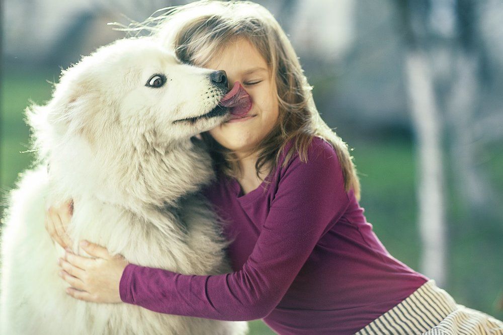 Photograph by Elena  Lobacheva