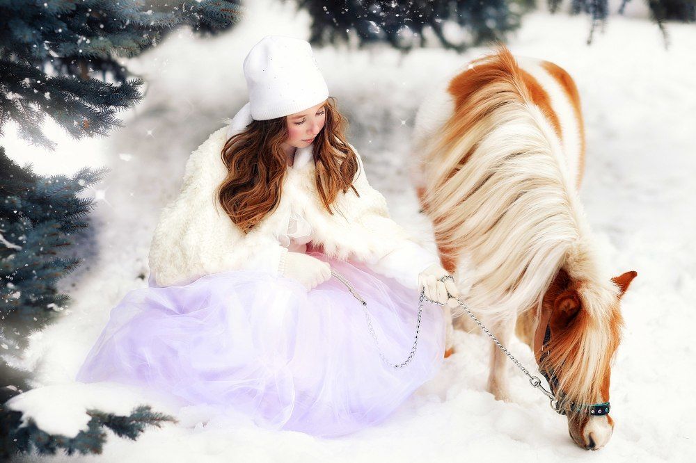 Зимняя сказка