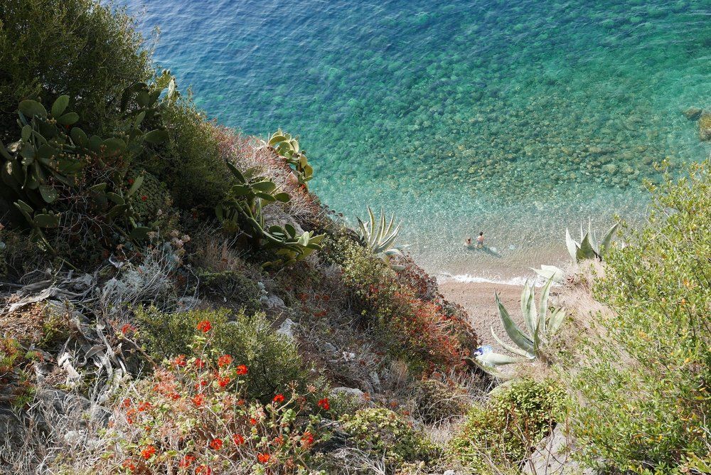 Monaco beach