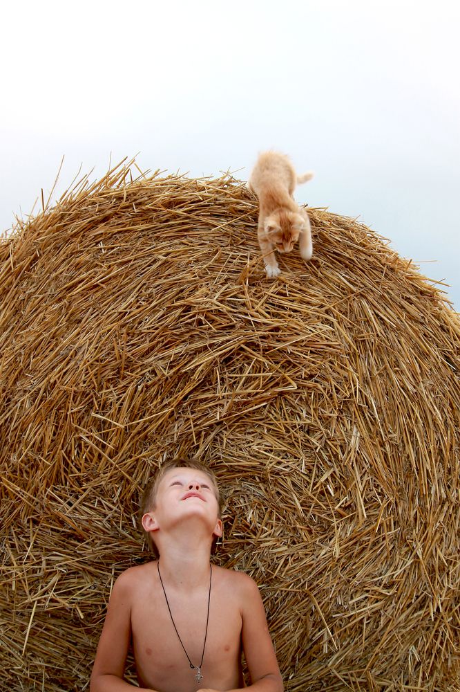 летний вечер