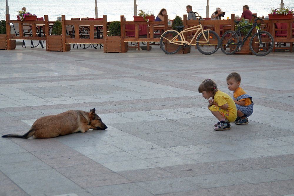 Проснись, давай знакомиться.