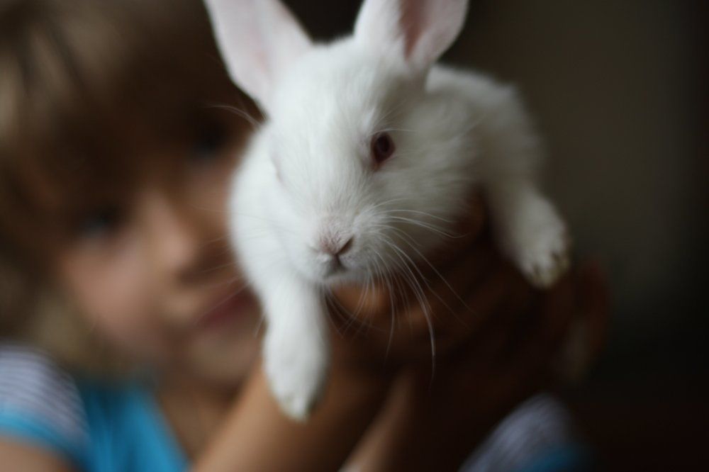 Катя и кроля