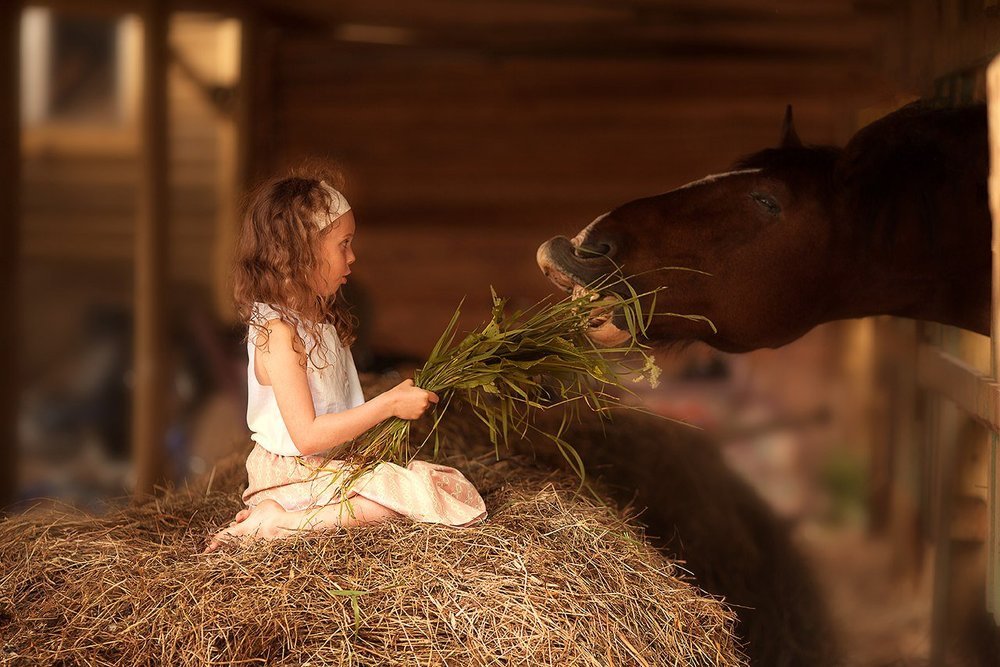 Ух ты! Удивительное рядом.