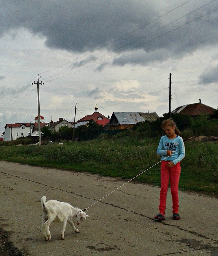 Любимый козленок