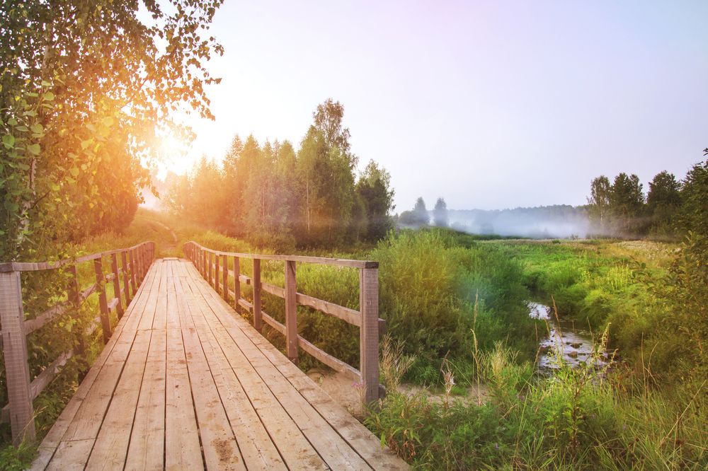 Photograph by Роман Окунев